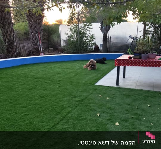 שולחן עם עציצים על דשא מלאכותי בגינה